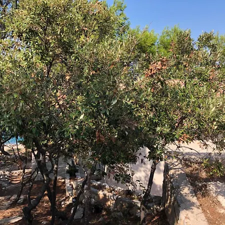 Hvar Island -enjoy Your Privacy By The Sea 度假居 斯塔里格勒